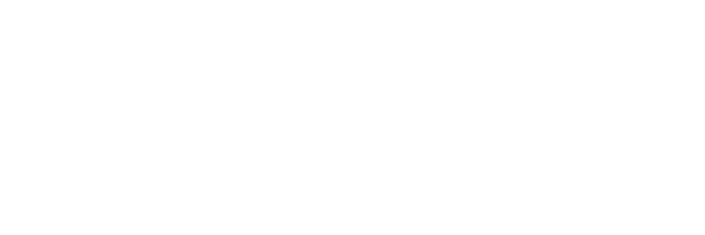 Flamma inspection app logo